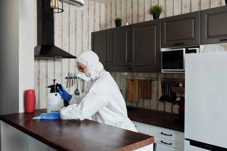 The best kitchen cleaning tips and tricks 33 The best kitchen cleaning tips and tricks